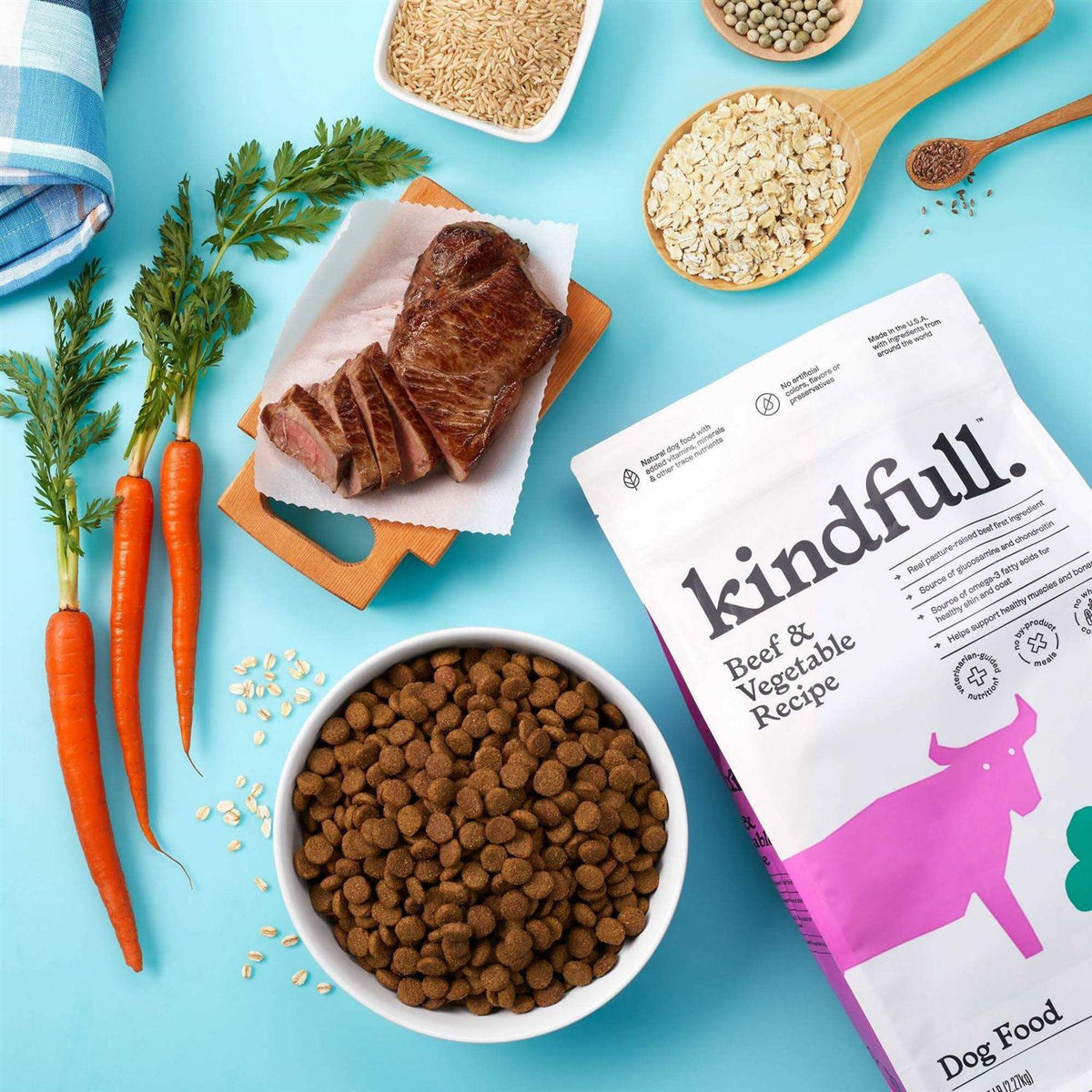 Beef and Vegetable Recipe Dry Dog Food N5429