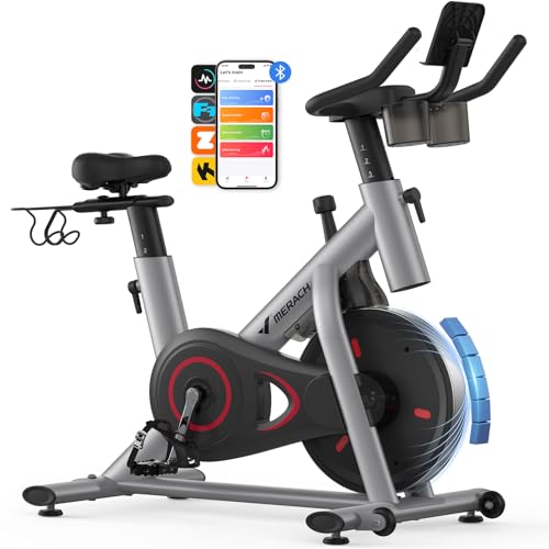 Exercise Bike with 300lbs Weight Capacity E8130