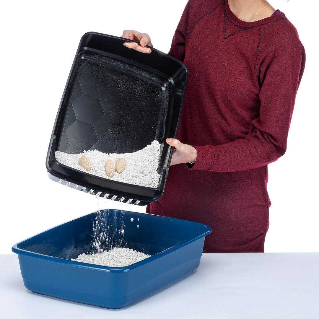 Litter Box with Litter Guard T157425