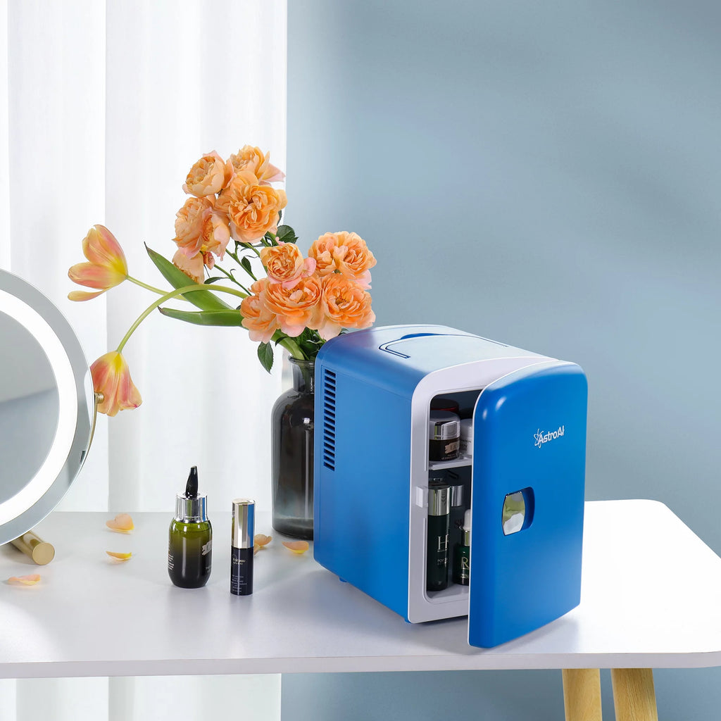 4L 6 Can Portable Electric Cooler Mini Fridge V231107