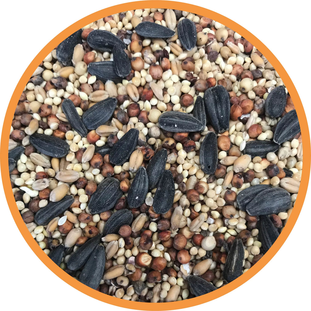 Southwest Blend Wild Bird Food 40 lbs. I647348