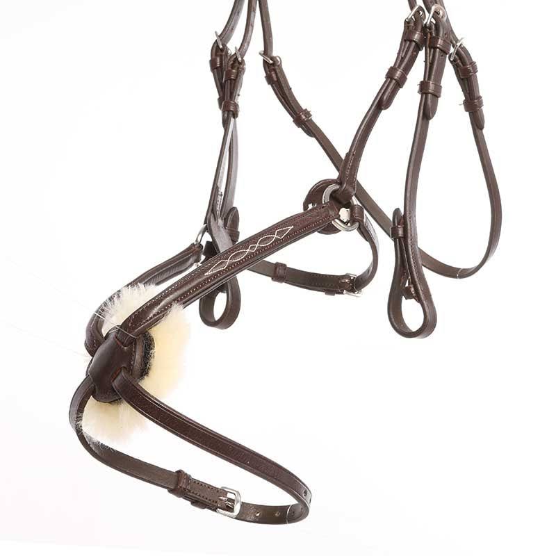 Bridle N2845