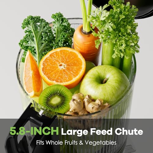 Cold Press Juicer 5.8" Wide Feed Chute 400W Slow Masticating Juicer L529