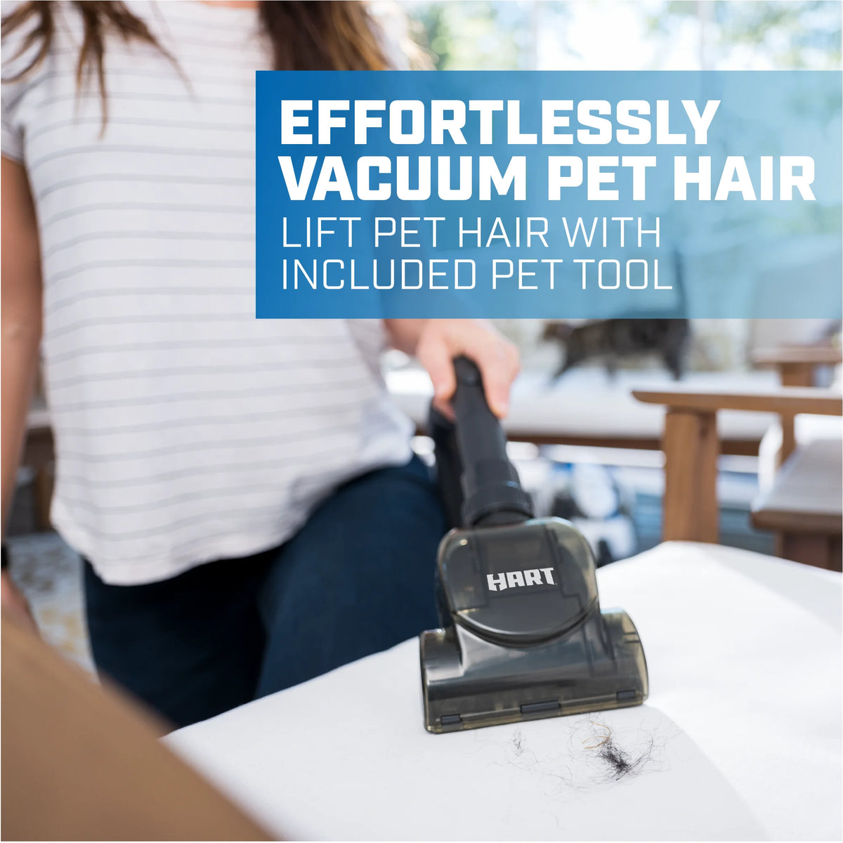 Bagless Canister Vacuum W841623