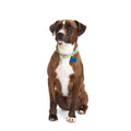 Macrame Dog Collar F408070