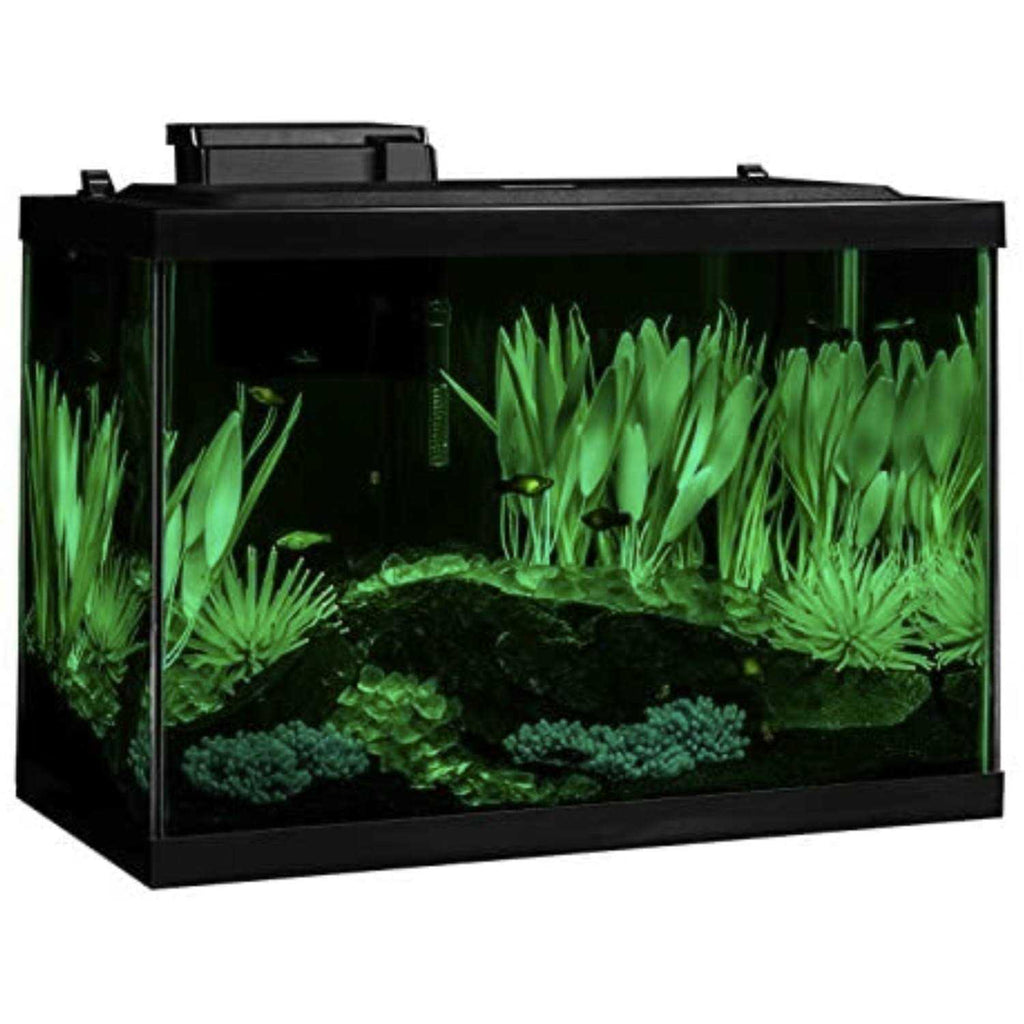 20 Gallon Fish Tank Kit with LED S5432