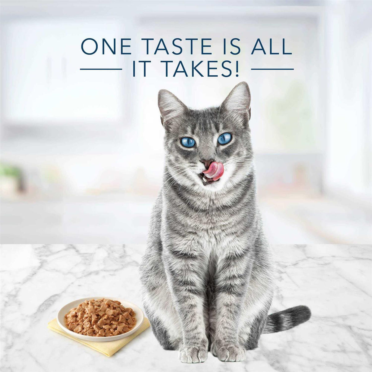 Blue Buffalo Tastefuls Wet Cat Food Flaked Variety Pack M4463