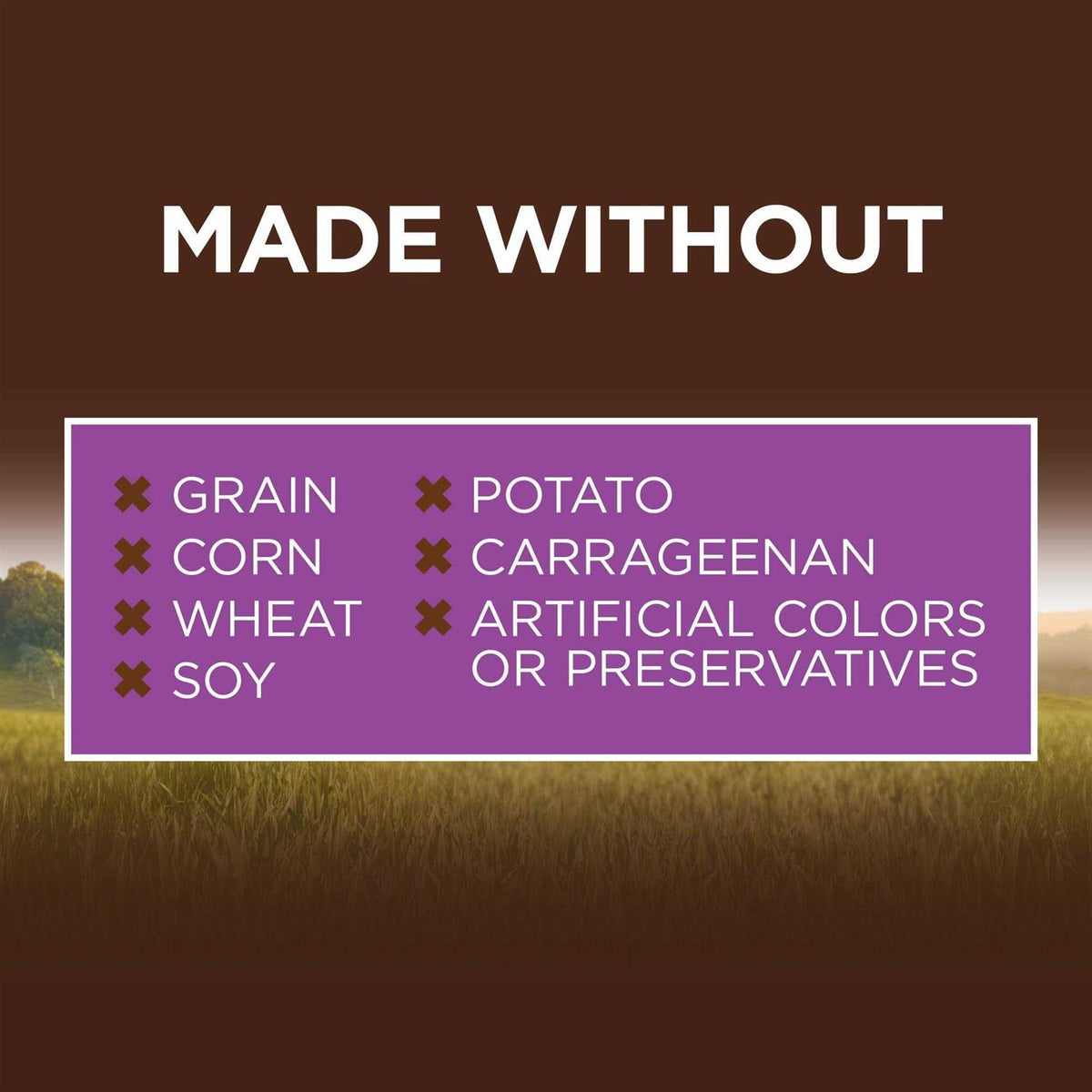 Grain Free Real Chicken Recipe Natural Wet Canned Cat Food I446