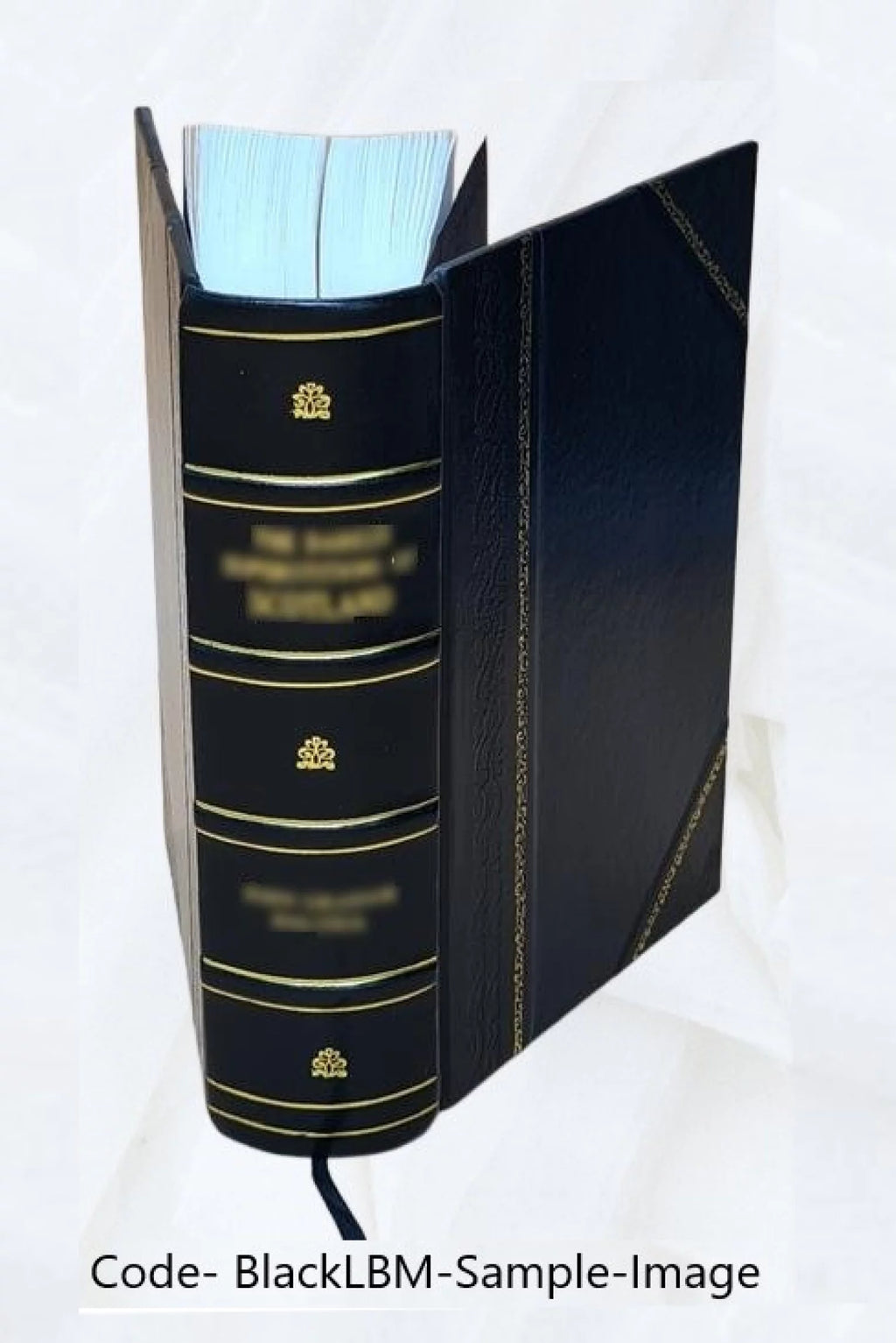 Leather Bound Mollusca Catalog U48577