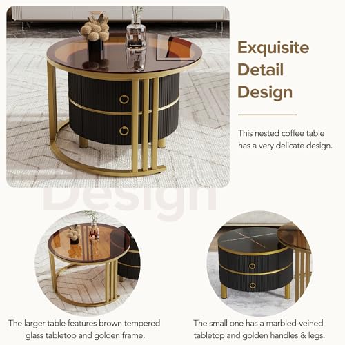 Golden Black Round Glass Coffee Table E696914