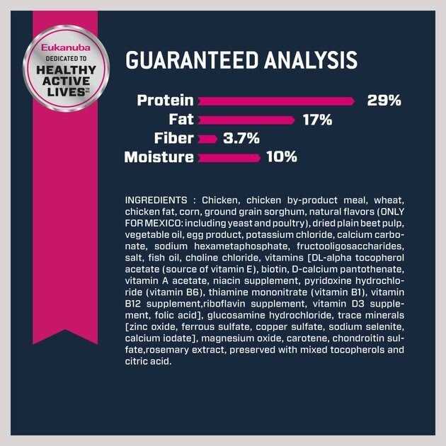 Senior Dry Dog Food G450711