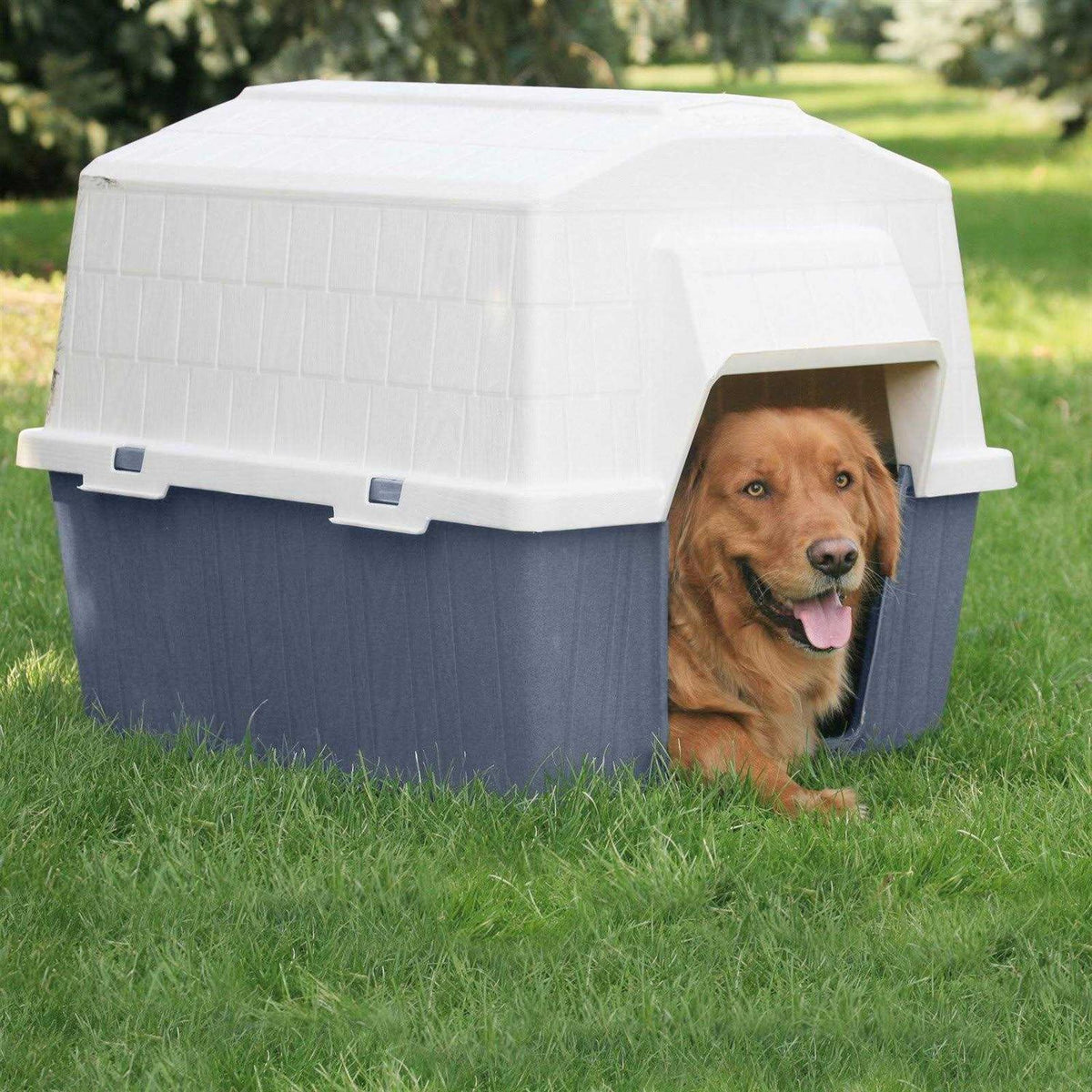 Pet Supplies O769687