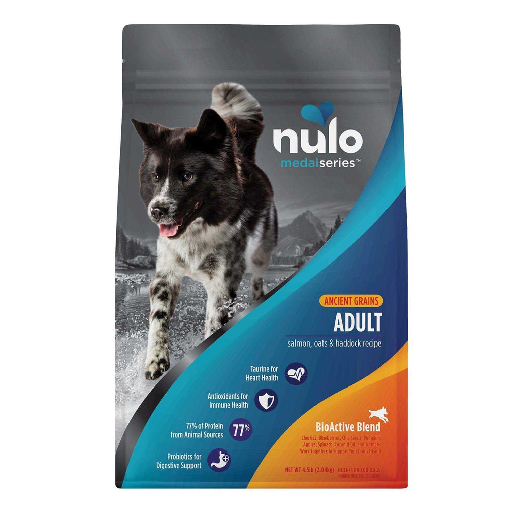 Salmon Dry Dog Food R34621