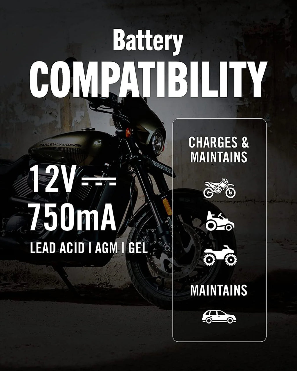 12V 750mA Automatic Battery Charger and Maintainer I70843