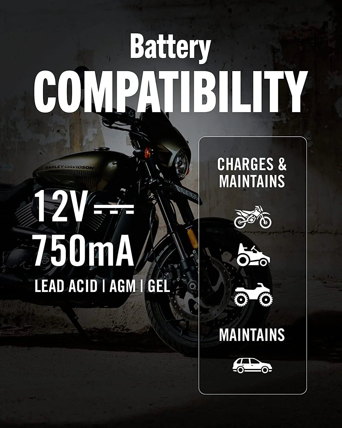 12V 750mA Automatic Battery Charger and Maintainer I70843