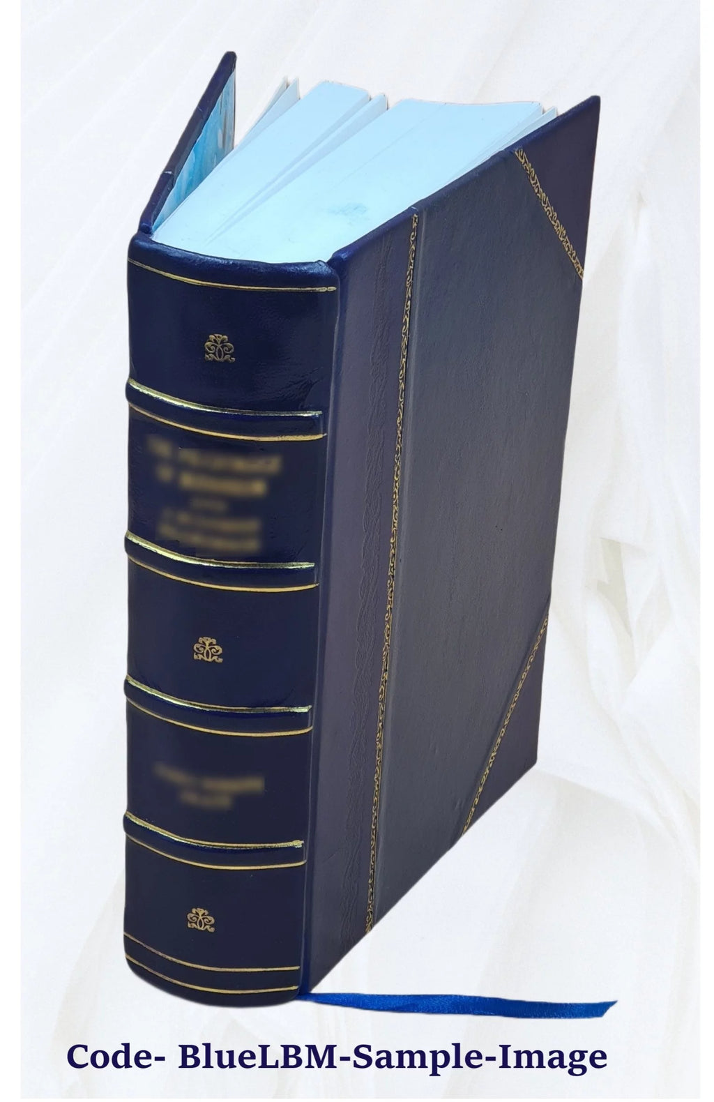 Leather Bound Mollusca Catalog U48577