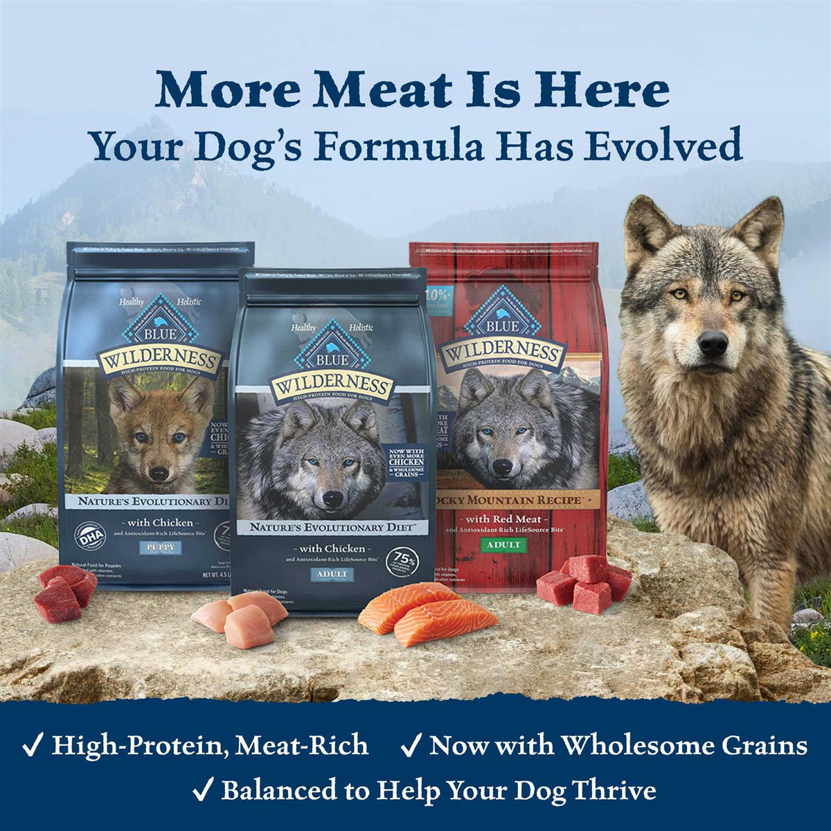 Dog Food K198