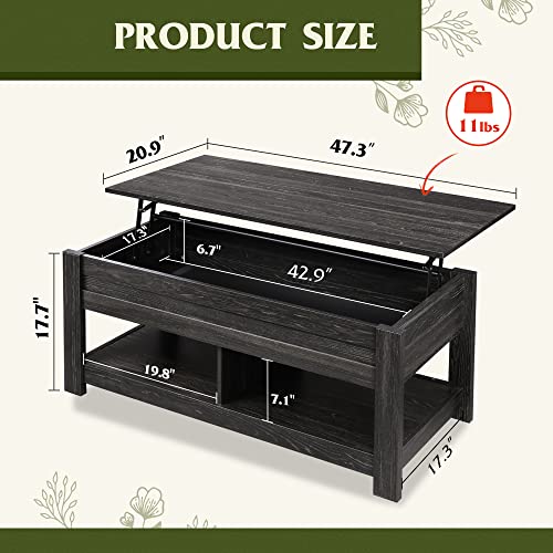 Rustic Brown Lift Top Coffee Table with Storage Shelf B658