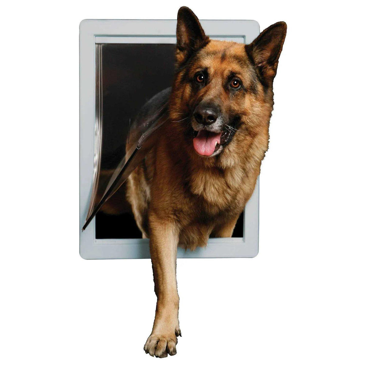 Super Large Pet Door Y48354