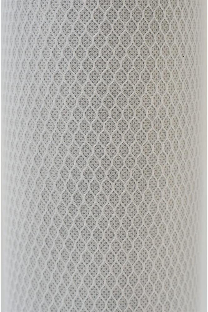 20-Inch 10 Micron Carbon Block Water Filter Cartridge (2-Pack) E411