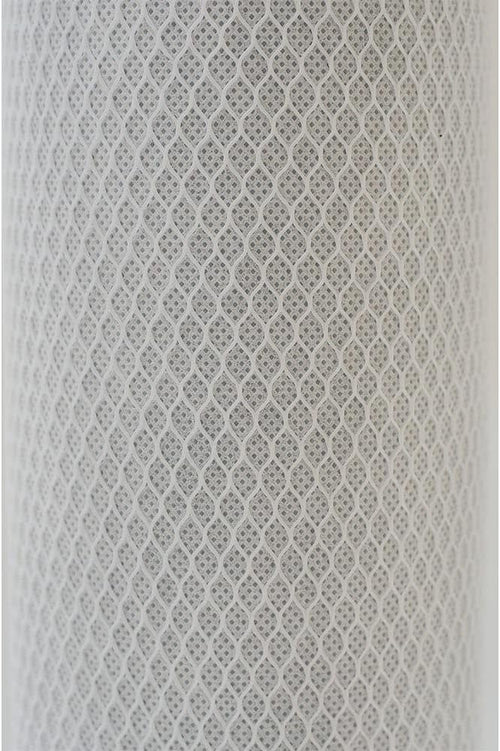 20-Inch 10 Micron Carbon Block Water Filter Cartridge (2-Pack) E411