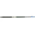 TALAVERA BW 70XH Saltwater Fishing Rod X9411