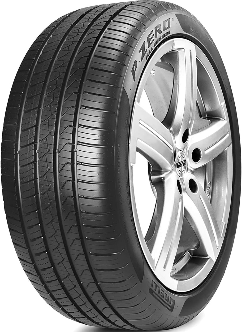 255/40R19 100V Performance Radial Tire J88859