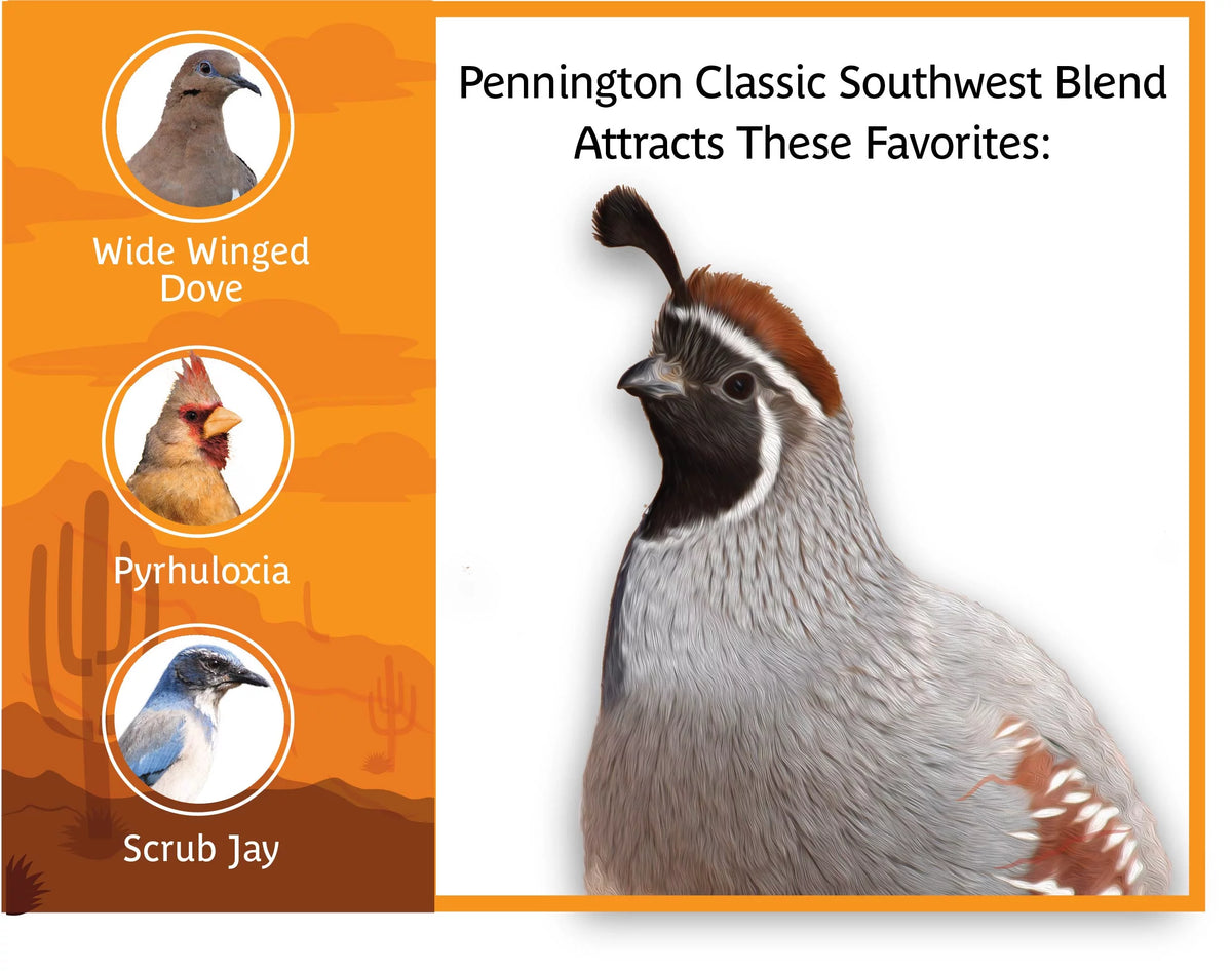Southwest Blend Wild Bird Food 40 lbs. I647348