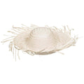 Beach Party Hat I159992