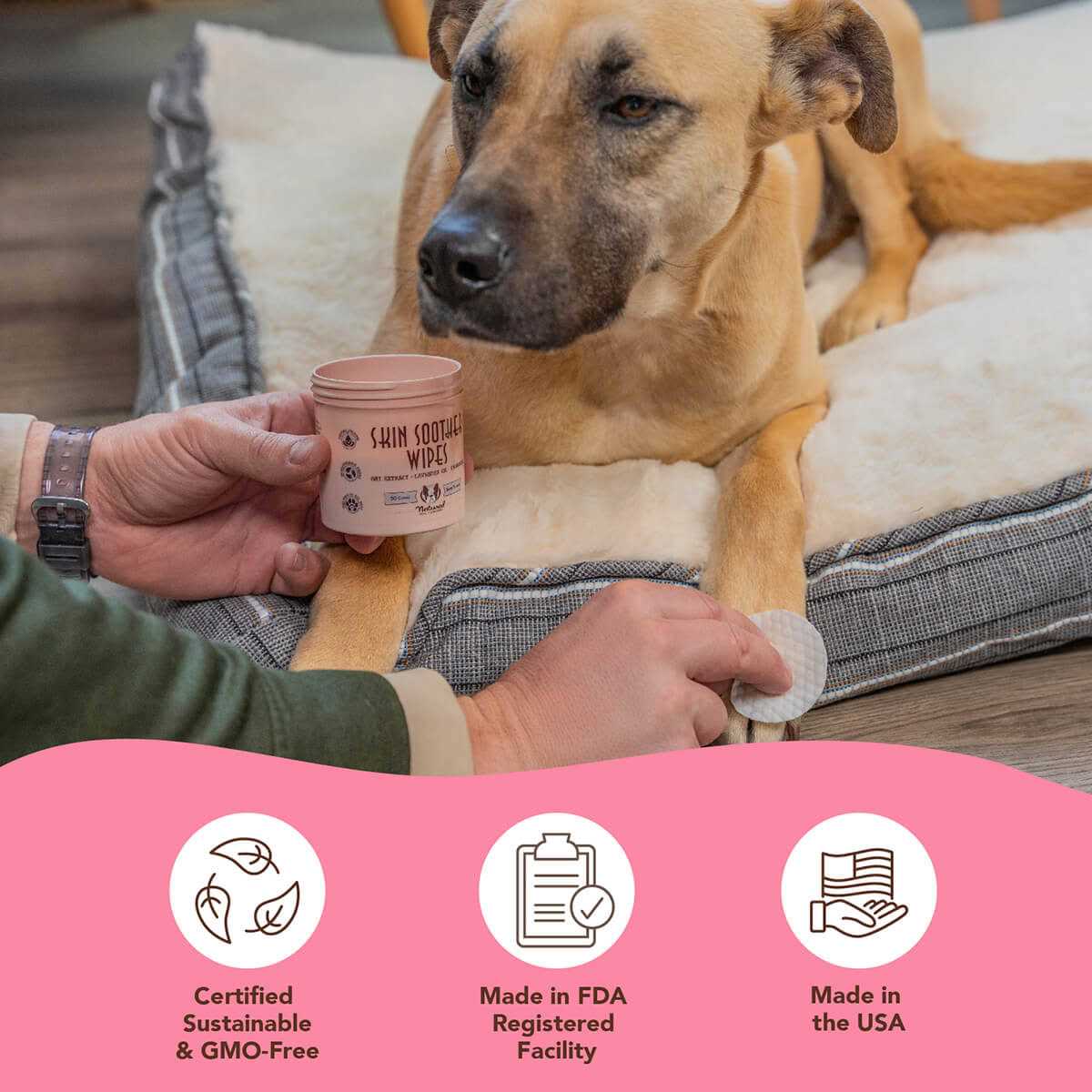 Dog Wipes C580906