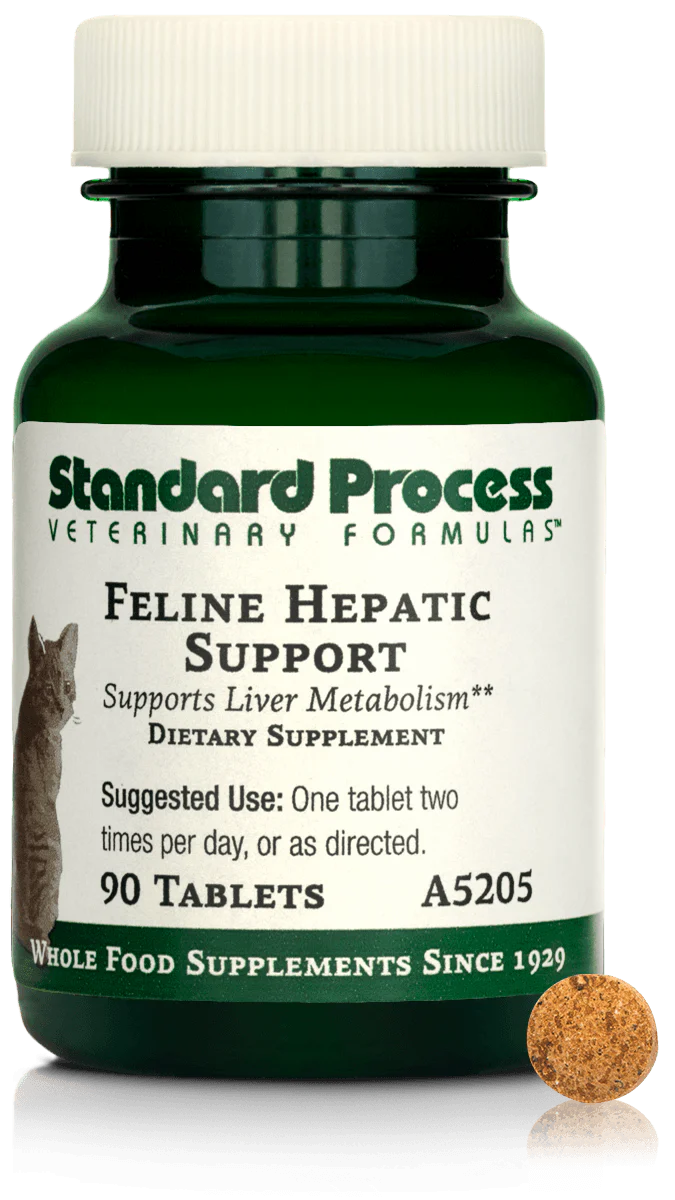 90 Tablets Hepatic Support Q698