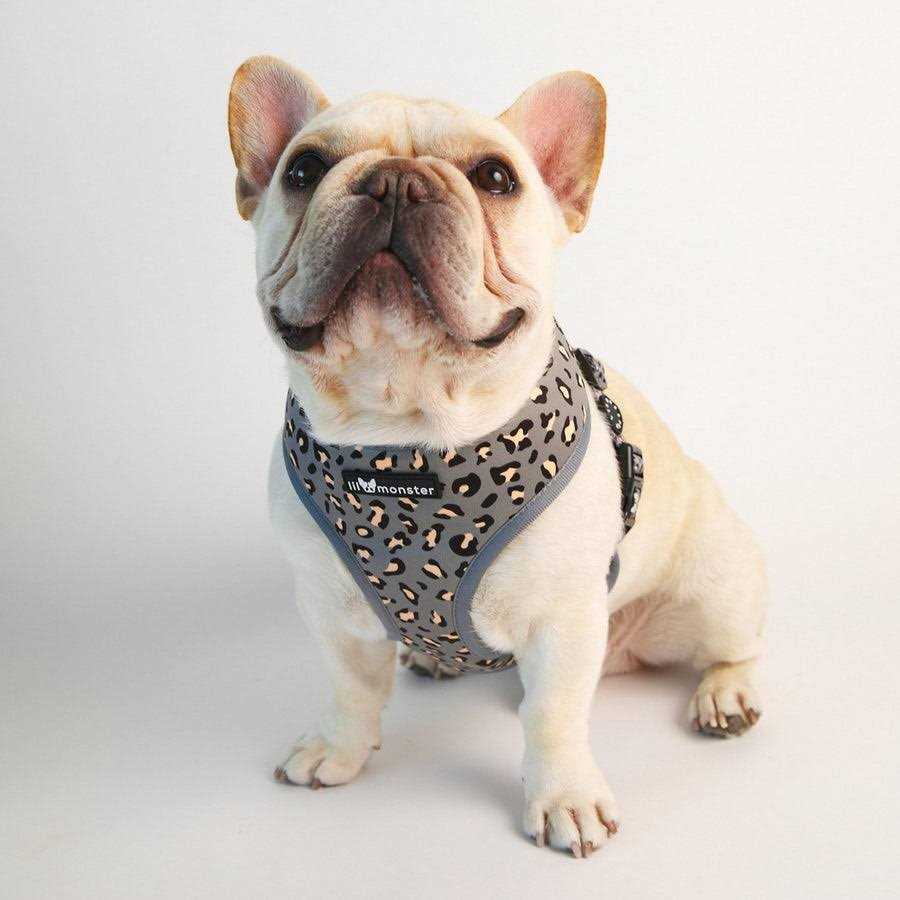 Reversible Dog Harness O350847
