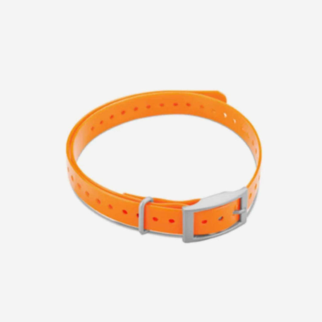 Collar Strap H3439