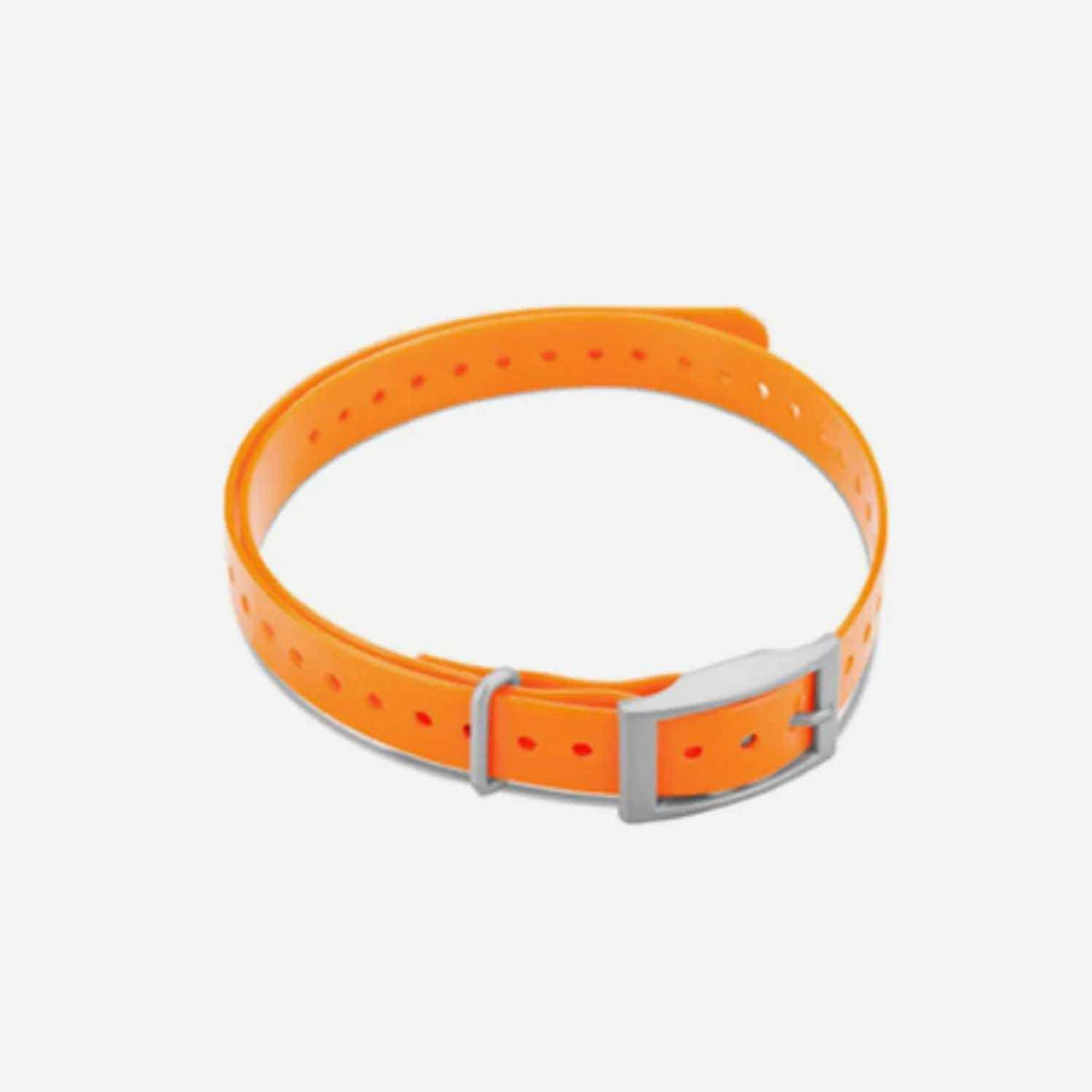 Collar Strap H3439