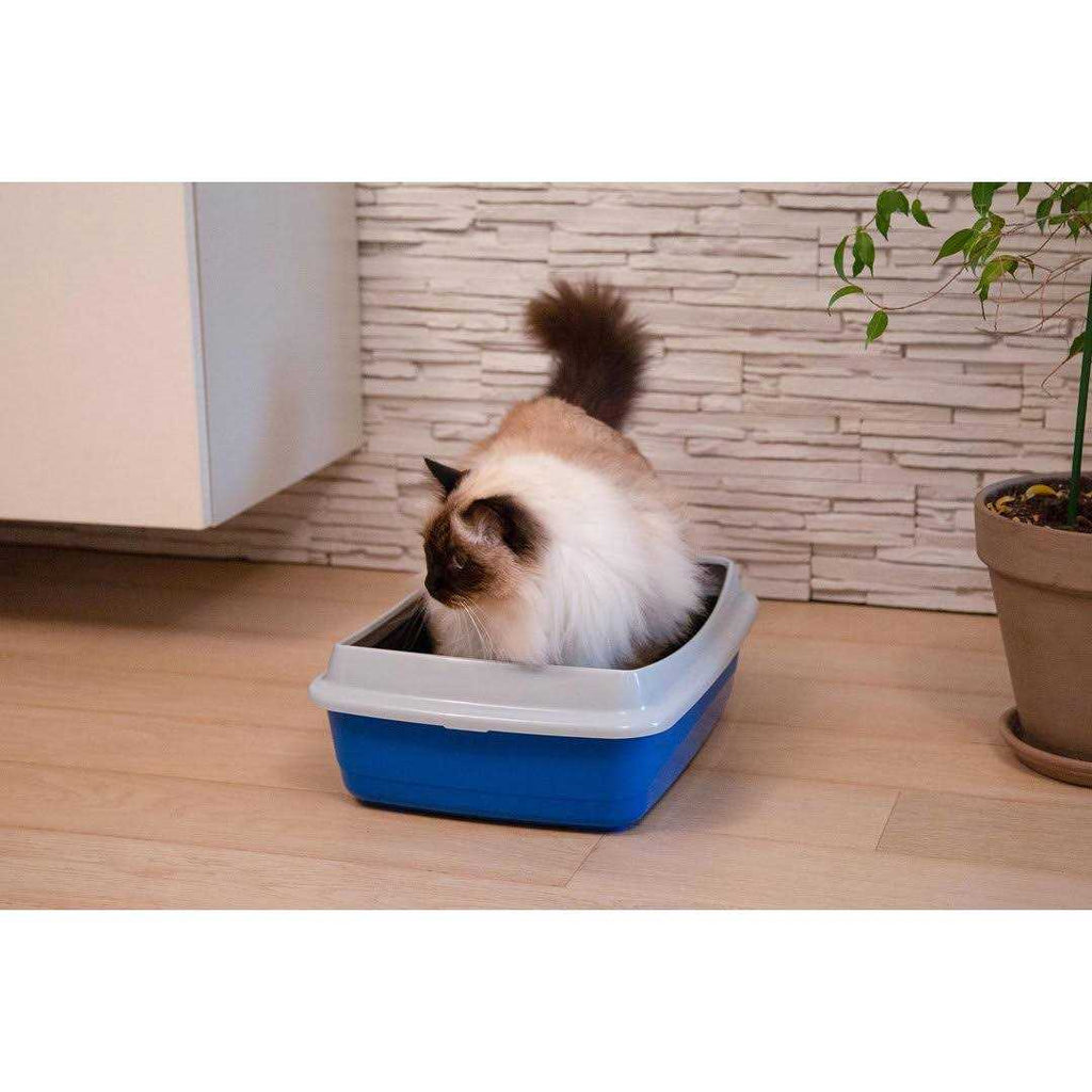Litter Box with Litter Guard T157425