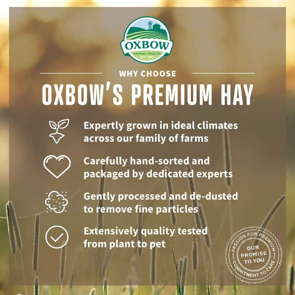 Oat Hay Pet Supplies I9784