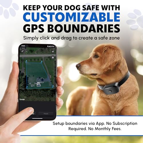 GPS Dog Fence with Remote Training Waterproof Collar System W480121