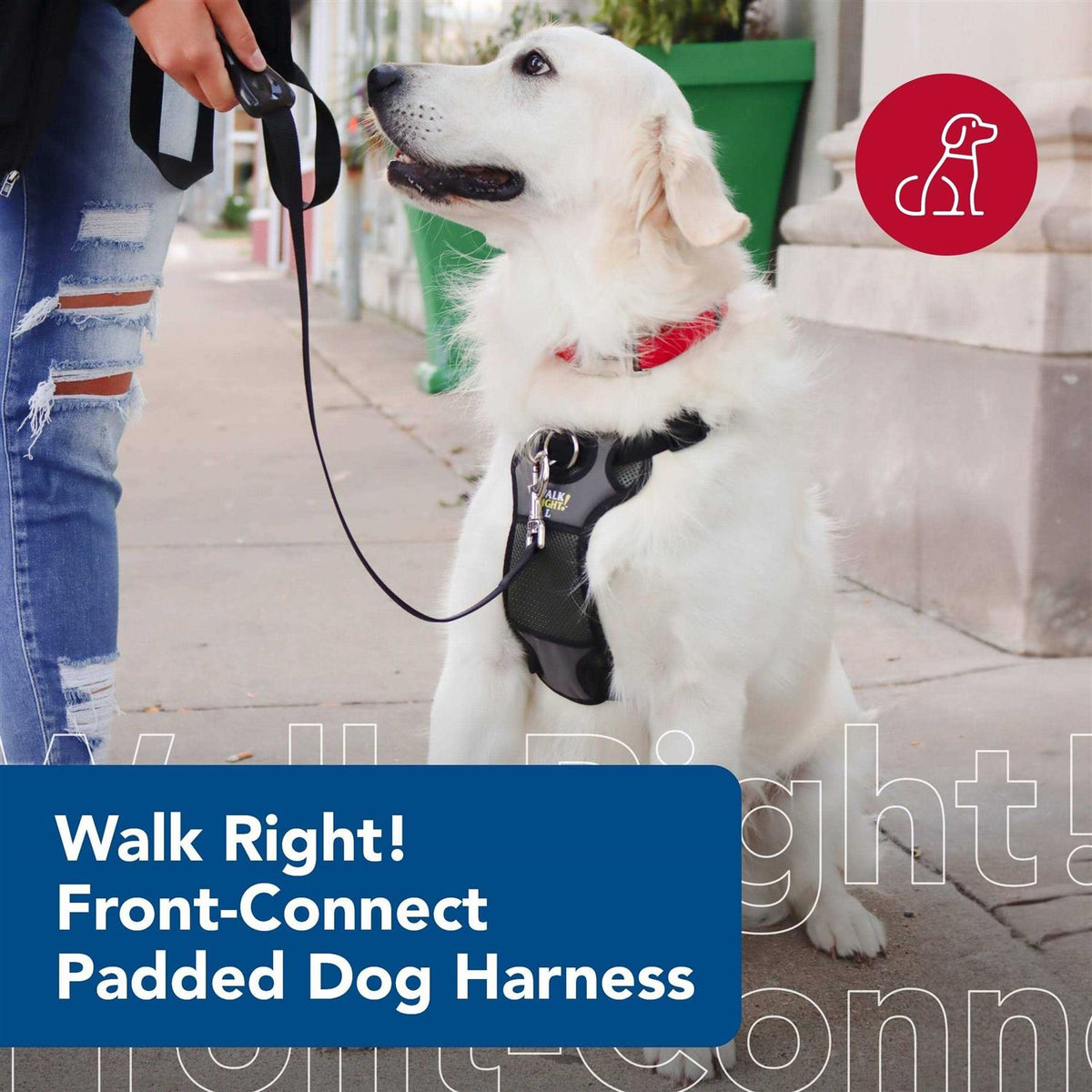 Padded Harness U731