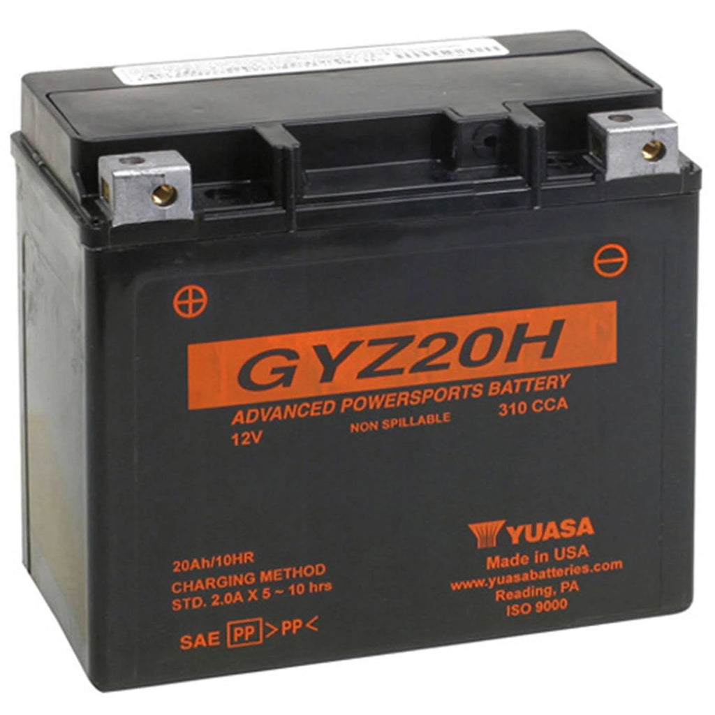 Factory Activated Maintenance Free Battery P597