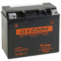 Factory Activated Maintenance Free Battery P597
