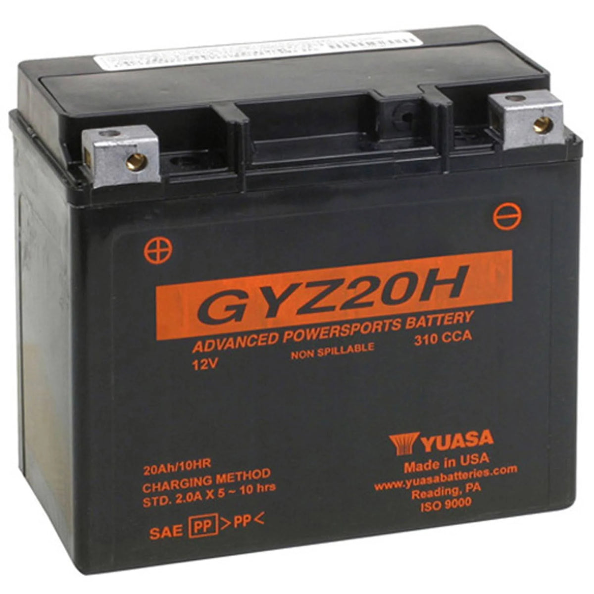 Factory Activated Maintenance Free Battery P597
