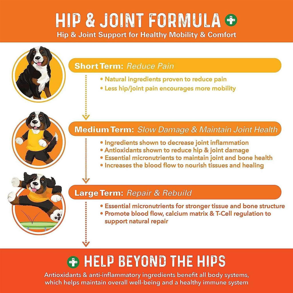 Dog Hip and Joint Supplement Q61426