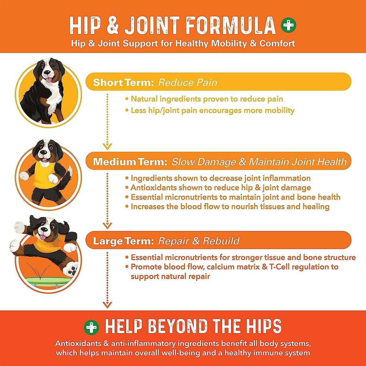 Dog Hip and Joint Supplement Q61426