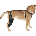 Dog Knee Brace Y82552