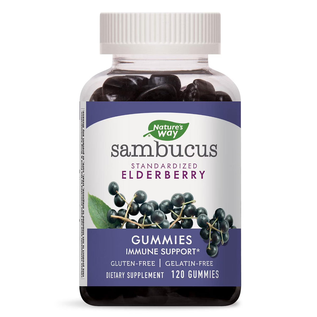 Elderberry Herbal Gummies, Gluten Free (120 Count) T216