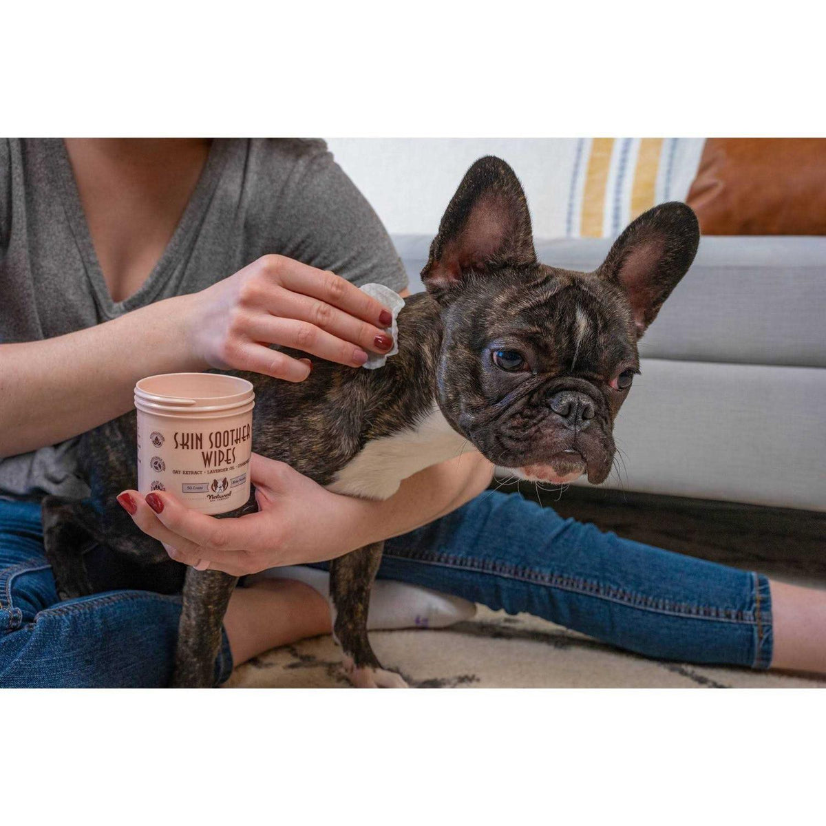 Dog Wipes C580906