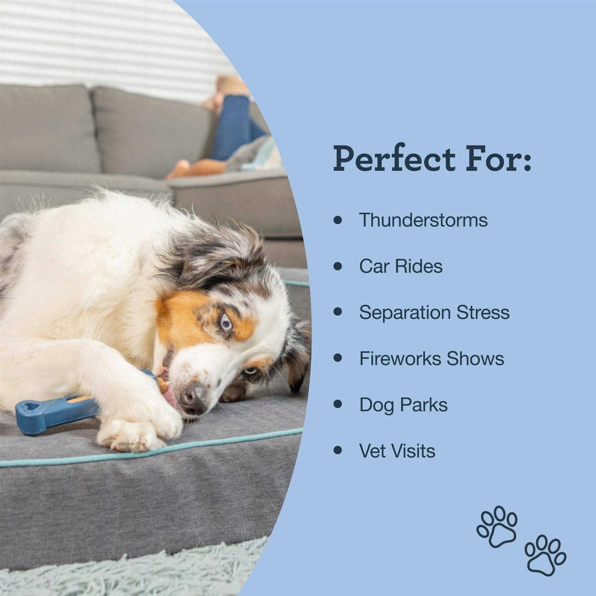Calming Bone Pet Supplies Y5930