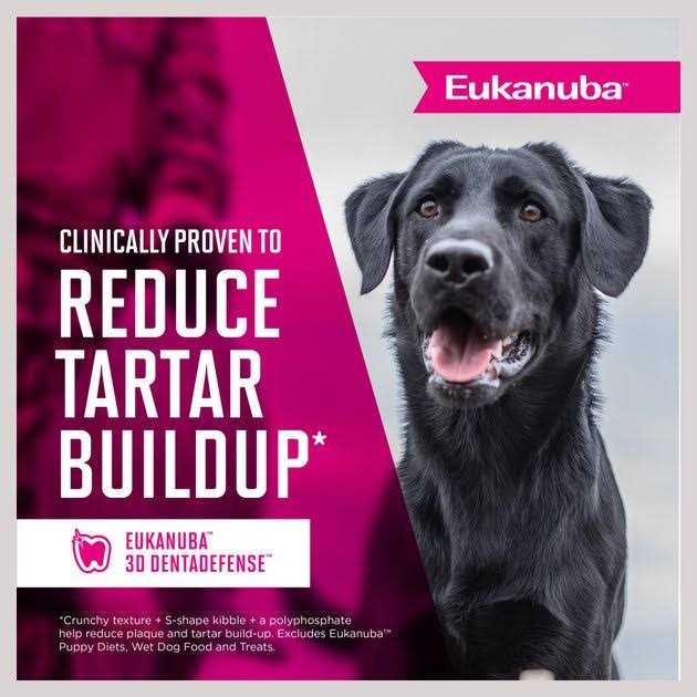 Senior Dry Dog Food G450711