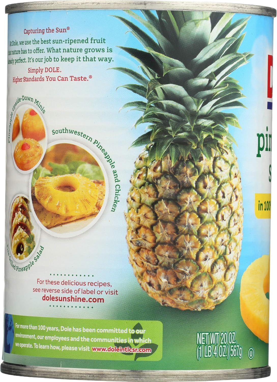 Pineapple Slices in 100% Pineapple Juice 20 oz (Pack of 12) S1705