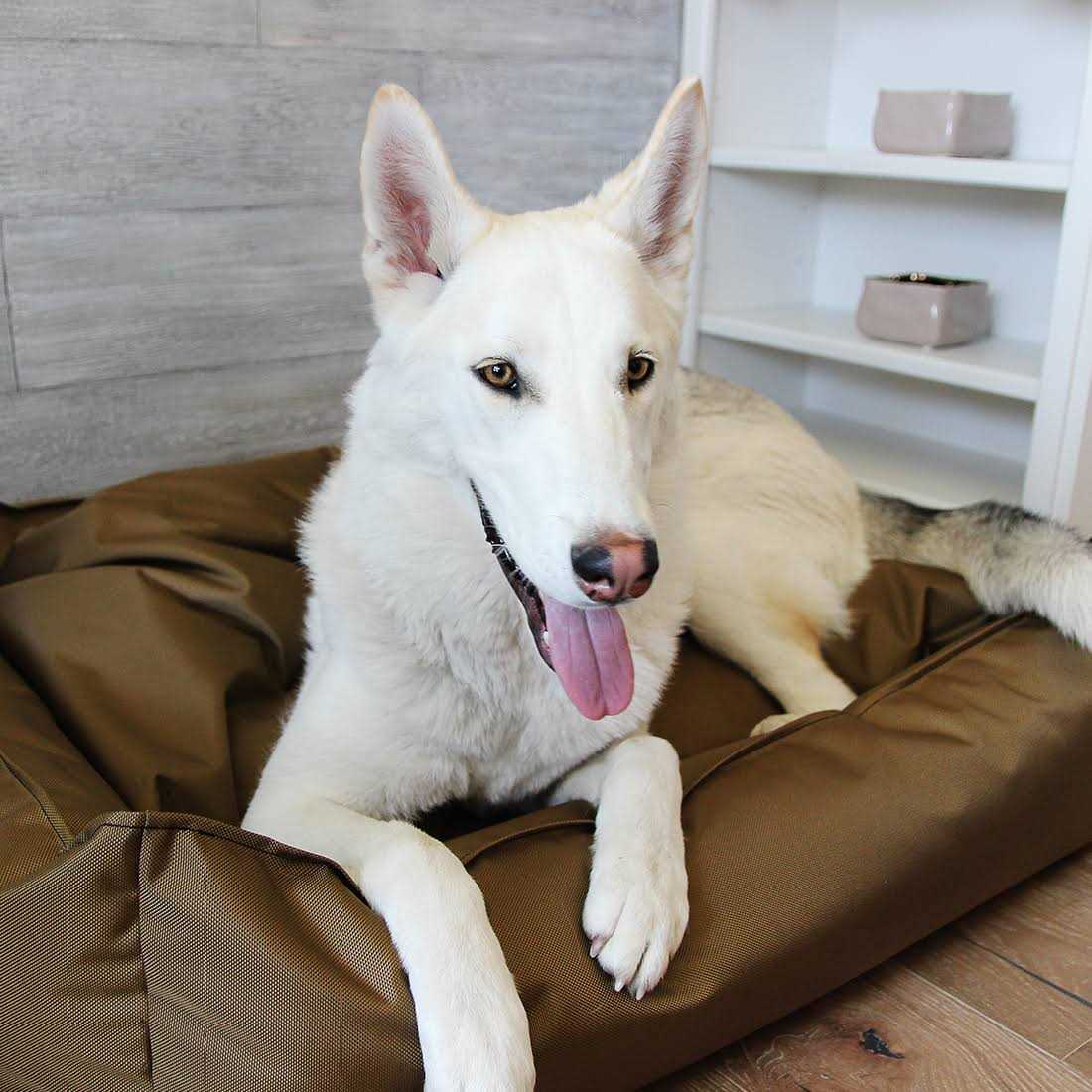 Ballistic Dog Bed T1875